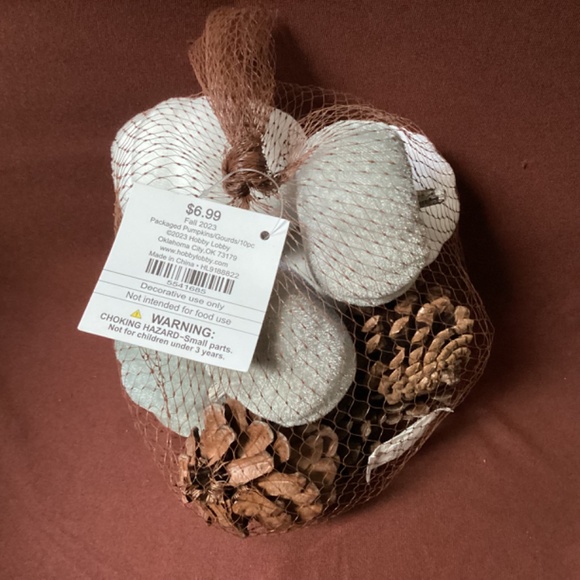 Fall 2023 Packaged Pumpkins/Gourds/10 pc New With Tag - Picture 5 of 8